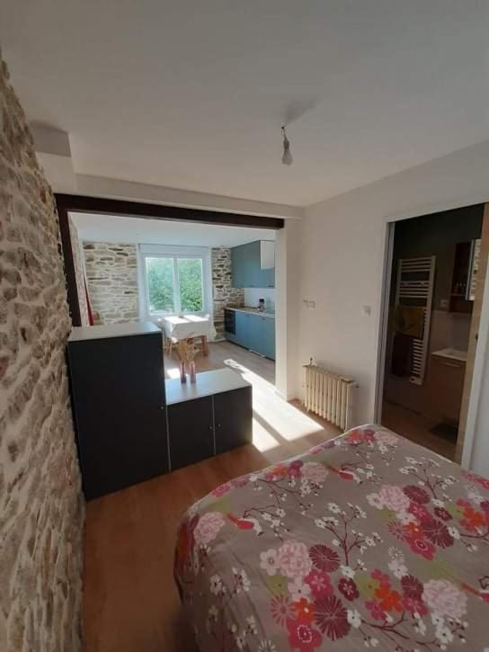 Superbe Studio, Avec Cuisine Et Espace Exterieur ปลูแกร์โน ภายนอก รูปภาพ